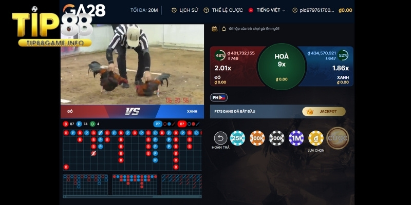 Chất lượng livestream của đá gà