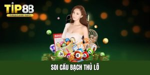 Soi cầu bạch thủ lô